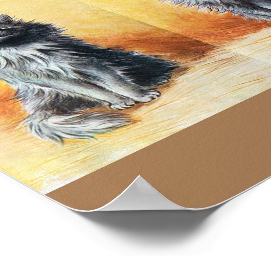 Bij het Show Cat, Louis Wain Poster (Hoek)