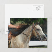 Bij het Show van de paarden Briefkaart (Voorkant / Achterkant)
