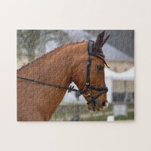 Bij het Show van de paarden Legpuzzel (Horizontaal)