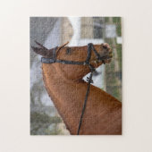 Bij het Show van de paarden Legpuzzel (Verticaal)
