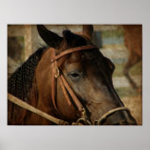 Bij het Show van de paarden Poster (Voorkant)