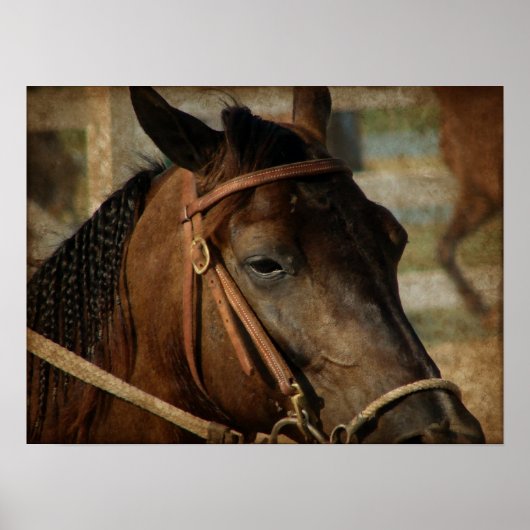 Bij het Show van de paarden Poster (Voorkant)