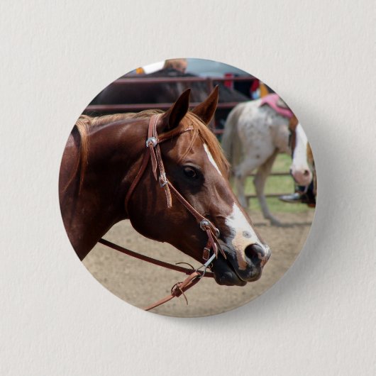 Bij het Show van de paarden Ronde Button 5,7 Cm (Voorkant)