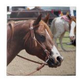 Bij het Show van de paarden Tegeltje (Voorkant)