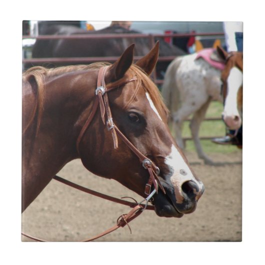 Bij het Show van de paarden Tegeltje (Voorkant)