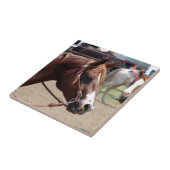 Bij het Show van de paarden Tegeltje (Zijkant)