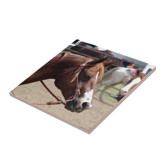 Bij het Show van de paarden Tegeltje (Zijkant)