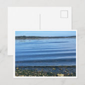 Bij het water briefkaart (Voorkant / Achterkant)