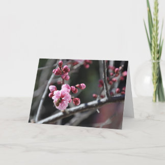 Bij in Bloem - Wenskaart Kaart