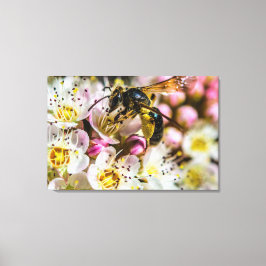 Bij in de buurt Canvasprint 36 x 24 Canvas Afdruk