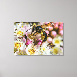 Bij in de buurt Canvasprint 36 x 24 Canvas Afdruk