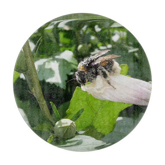 Bij in de zomer snijplank (Voorkant)