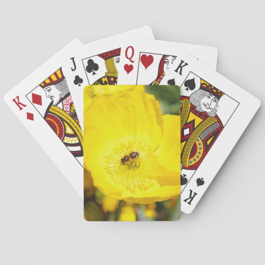 Bij in geel gebaad pokerkaarten (Achterkant)