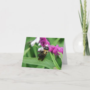 Bij met de Kaart van de Nota van de Bloemen van
