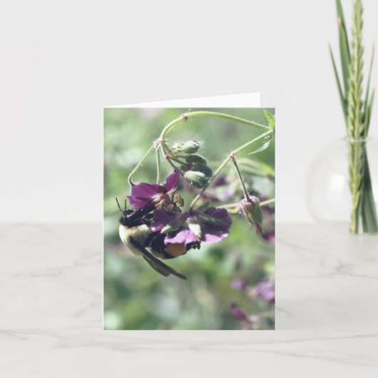 Bij met stuifmeel Bloem fotografie Notitiekaartje (Voorkant)