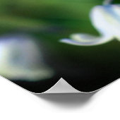 Bij op Blauwe Bloem Close-up Poster (Hoek)
