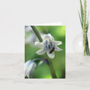 Bij op Blauwe Bloem Fotografie  Notitiekaartje