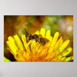 Bij op bloem poster