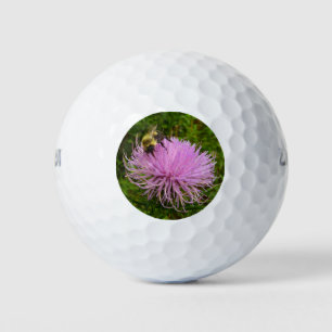 Bij op distelbloem natuur golfballen