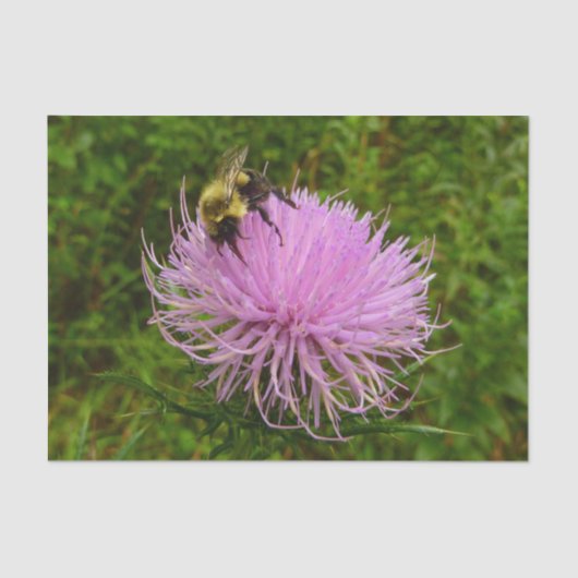 Bij op Distelbloem Natuur Tissuepapier (Voorkant)