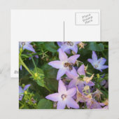 Bij op een Bloem Briefkaart (Voorkant / Achterkant)