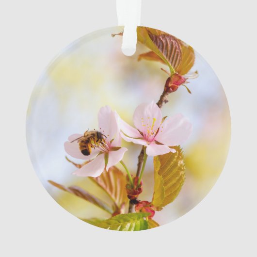 Bij op een kersenbloesem ornament (achterkant)