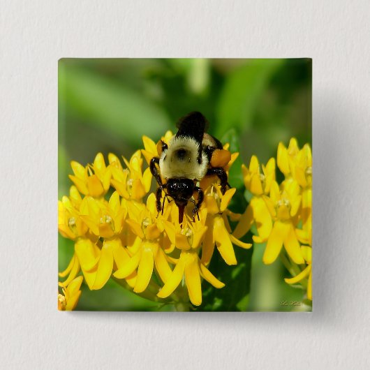 Bij op een vlinderonkruid bloem vierkante button 5,1 cm (Voorkant)