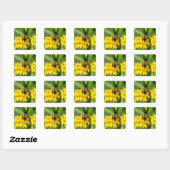 Bij op een vlinderonkruid bloem vierkante sticker (Vel)