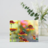 Bij op Gaillardia Briefkaart (Staand voorkant)