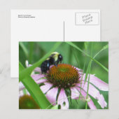 Bij op Kegel Bloem Briefkaart (Voorkant / Achterkant)