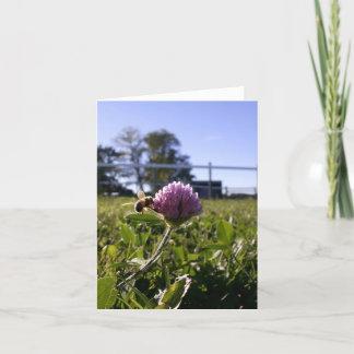 Bij op Klaver Notecard Kaart