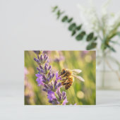 Bij op Lavendel Briefkaart (Staand voorkant)