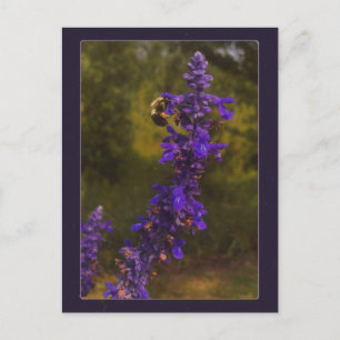 bij op lavendel briefkaart