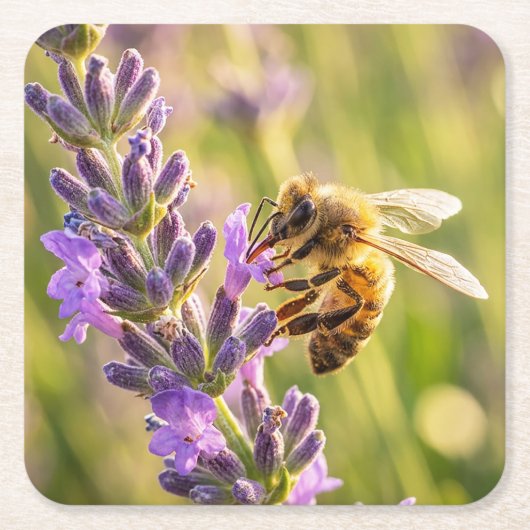 Bij op Lavendel Kartonnen Onderzetters (Voorkant)