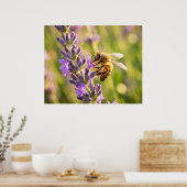 Bij op Lavendel Poster (Keuken)