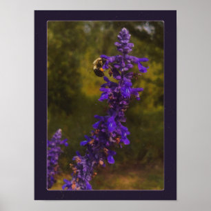 bij op lavendel poster