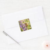 Bij op Lavendel Vierkante Sticker (Envelop)