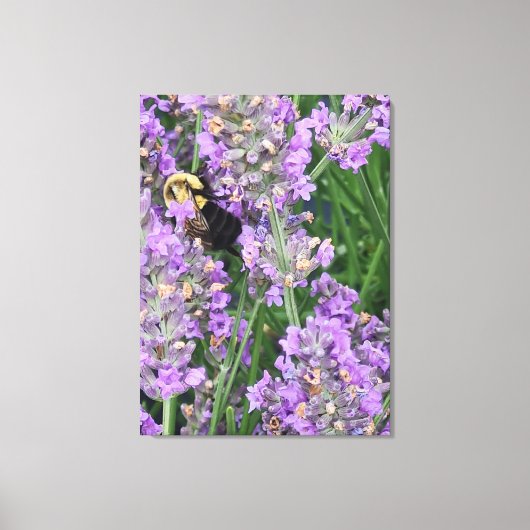 Bij op lavendelbloem canvas afdruk (Voorkant)