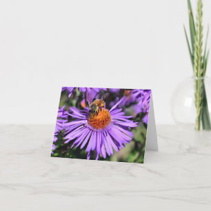 Bij op paarse aster bloem fotografie  notitiekaartje