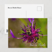 Bij op paarse distelbloem briefkaart (Voorkant / Achterkant)