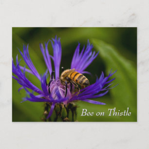 Bij op paarse distelbloem briefkaart