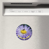 Bij op Paarse Margriet Bloem Persoonlijk Magneet (Insitu (Vaatwasser))