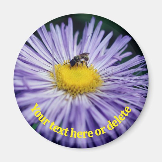 Bij op Paarse Margriet Bloem Persoonlijk Magneet (Voorkant)