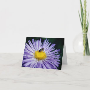 Bij op paarse margrietbloem fotografie  notitiekaartje