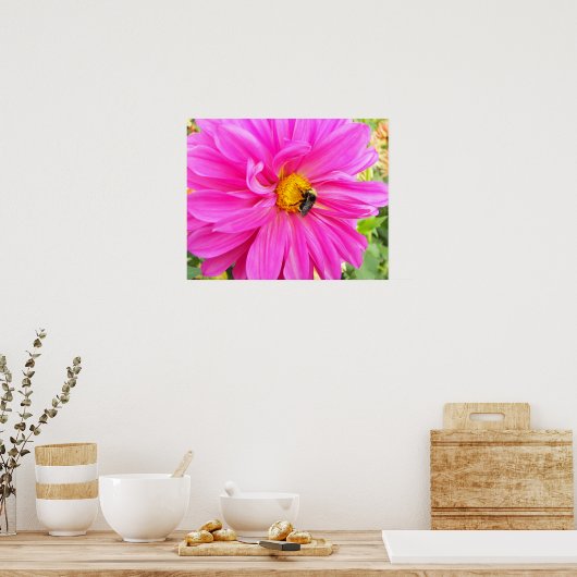 Bij op Roze Dahlia Bloem Fotografisch Poster (Keuken)