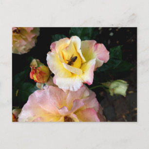 Bij op roze gele rozen bloemen briefkaart