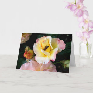 Bij op roze gele rozen bloemen kaart