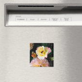 Bij op roze gele rozen bloemen magneet (Insitu (Vaatwasser))