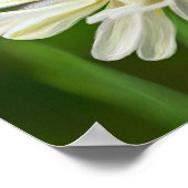 Bij op Witte Bloem Poster (Hoek)