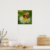 Bij op Witte Bloem Poster (Keuken)